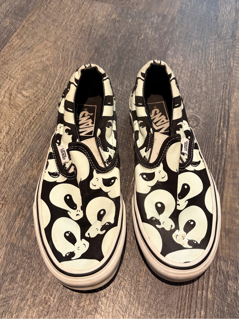 Alien slip on Vans